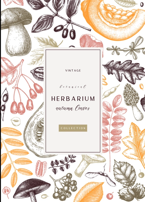 Hand sketched autumn card or invitation design. Elegant botanical template with autumn leaves, berries, seeds, nuts, mushroom sketches. Perfect for flyers, menu, label, packaging. 